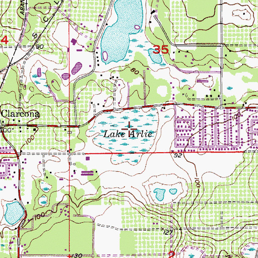 Topographic Map of Lake Arlie, FL