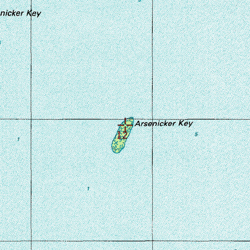 Topographic Map of Arsenicker Key, FL