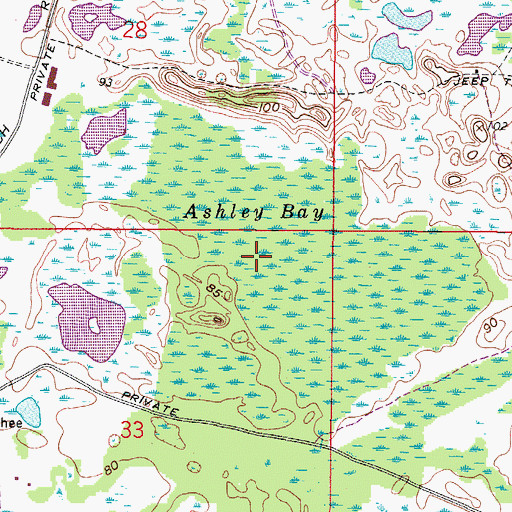 Topographic Map of Ashley Bay, FL