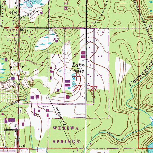 Topographic Map of Lake Audie, FL