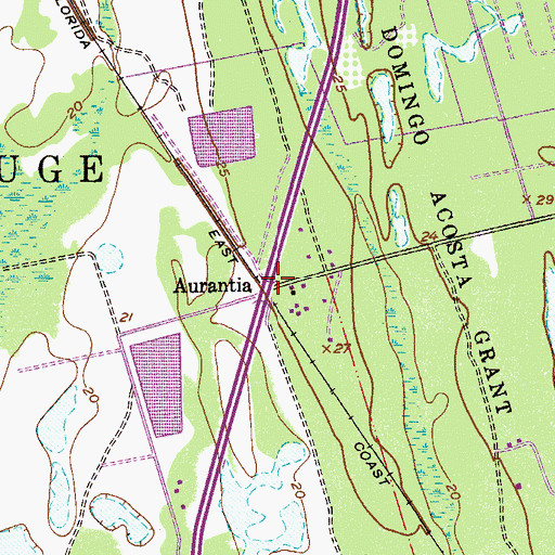 Topographic Map of Aurantia, FL