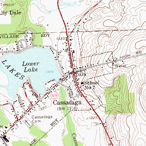 Topographic Map of Cassadaga Post Office, NY