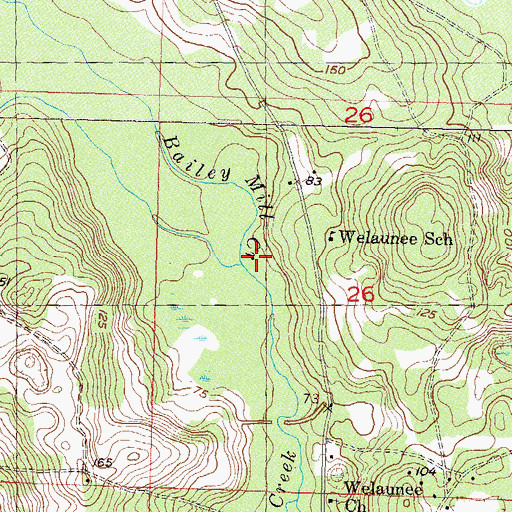 Topographic Map of Bailey Mill Creek, FL