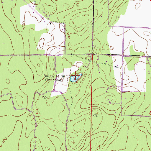 Topographic Map of Bailey Mine, FL