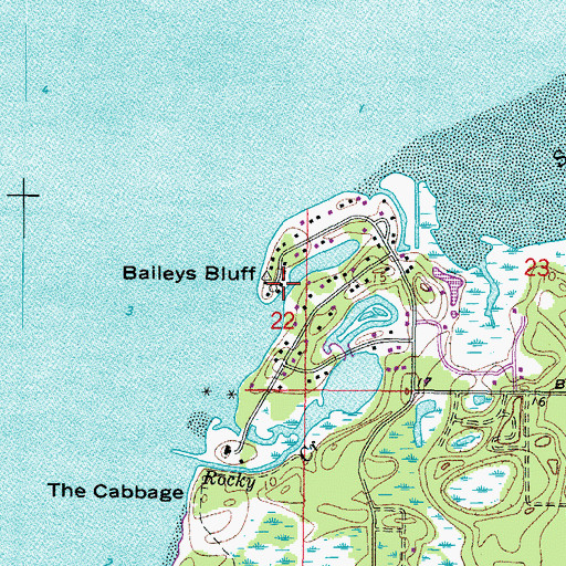 Topographic Map of Baileys Bluff, FL
