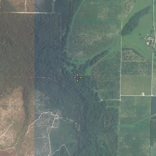 Aerial/Satellite Image of Baker Branch, FL
