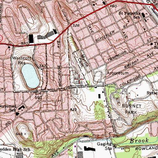 Topographic Map of Sacred Heart Cemetery, NY