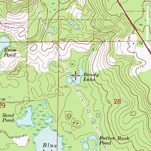 Topographic Map of Bandy Lake, FL