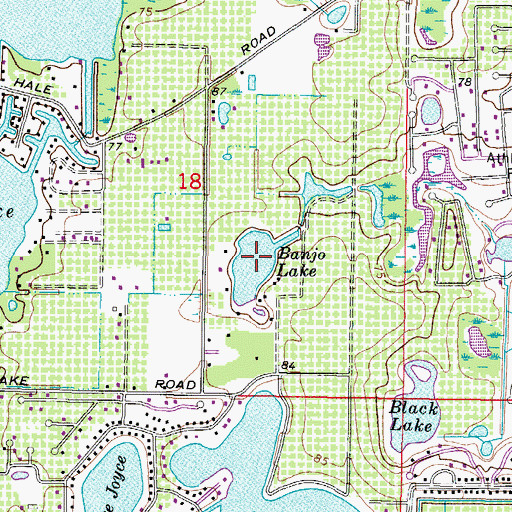 Topographic Map of Banjo Lake, FL
