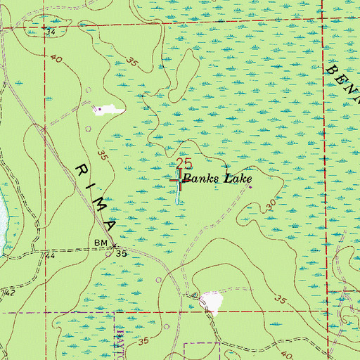 Topographic Map of Banks Lake, FL