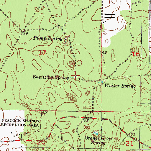 Topographic Map of Baptizing Spring, FL