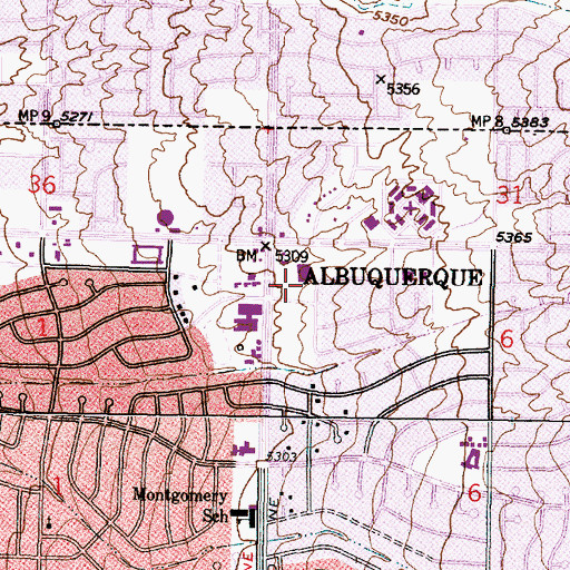 Topographic Map of Louisiana Poe Post Office, NM
