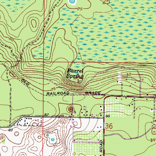 Topographic Map of Barrel Spring, FL