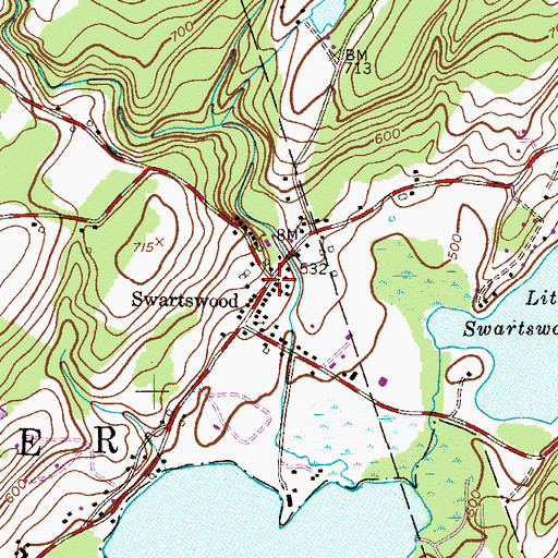 Topographic Map of Swartswood Post Office, NJ