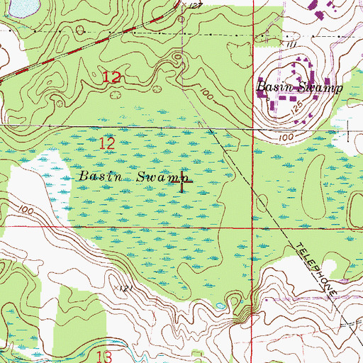 Topographic Map of Basin Swamp, FL