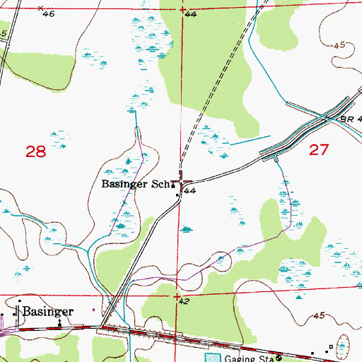 Topographic Map of Basinger School, FL