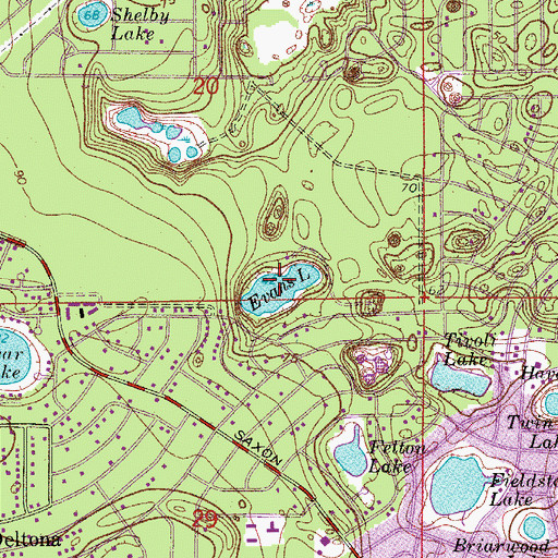 Topographic Map of Evans Lake, FL