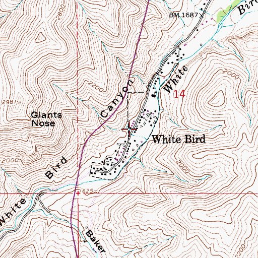 Topographic Map of White Bird Post Office, ID