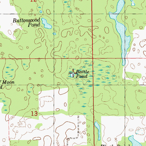 Topographic Map of Battle Pond, FL