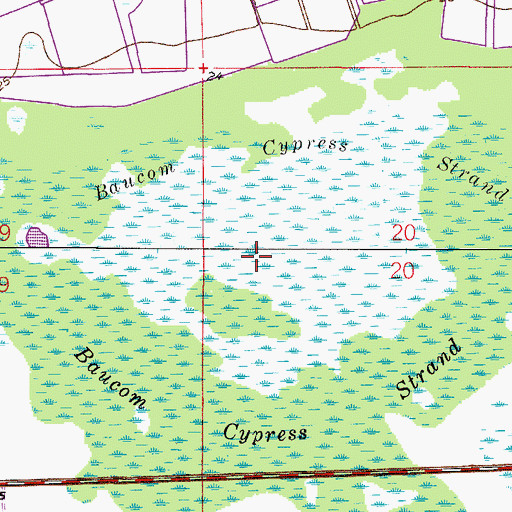 Topographic Map of Baucom Cypress Strand, FL