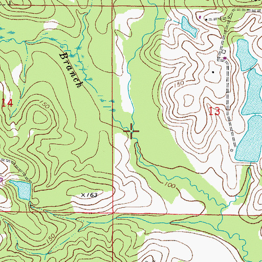 Topographic Map of Bay Branch, FL