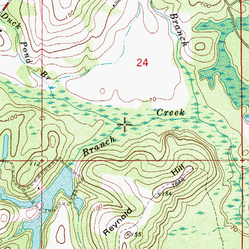Topographic Map of Bay Branch, FL