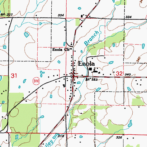 Topographic Map of Enola Post Office, AR