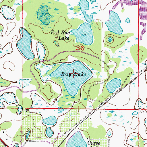 Topographic Map of Bay Lake, FL