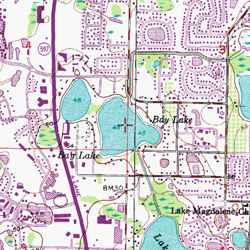 Topographic Map of Bay Lake, FL