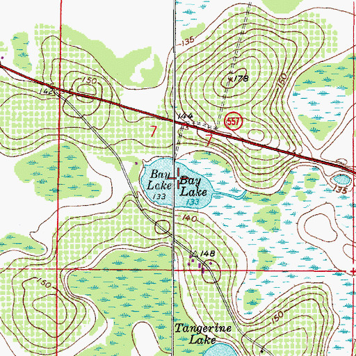 Topographic Map of Bay Lake, FL