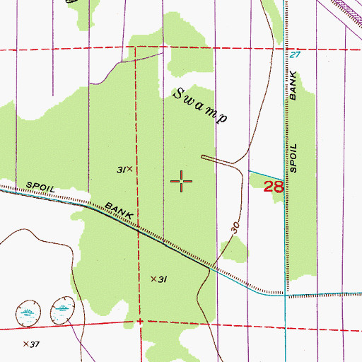 Topographic Map of Bay Swamp, FL