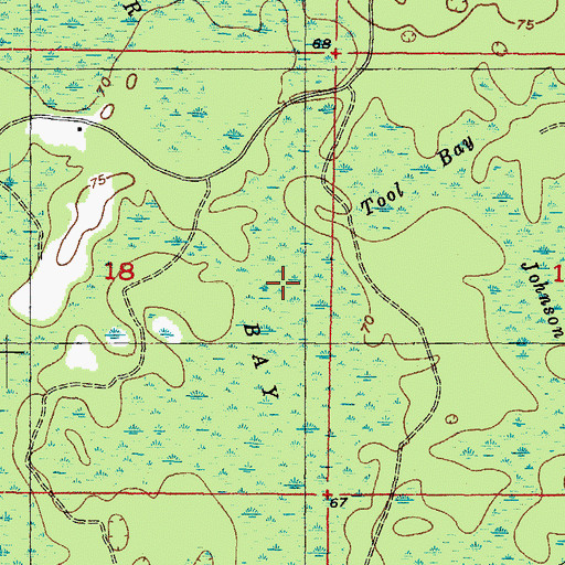 Topographic Map of Bear Bay, FL