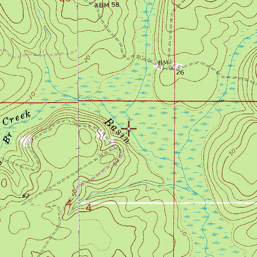 Topographic Map of Bear Branch, FL