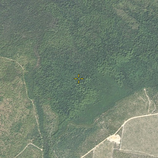 Aerial/Satellite Image of Bear Creek, FL