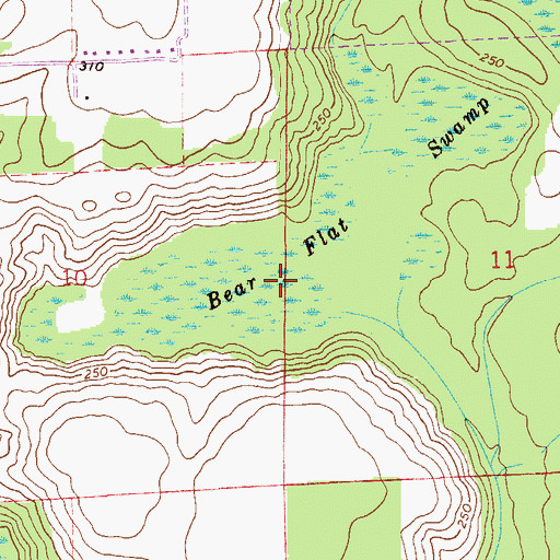 Topographic Map of Bear Flat Swamp, FL