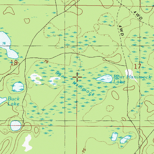 Topographic Map of Bear Hammock, FL