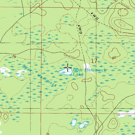 Topographic Map of Bear Hammock Lake, FL