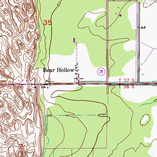 Topographic Map of Bear Hollow, FL