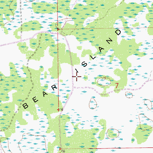 Topographic Map of Bear Island, FL