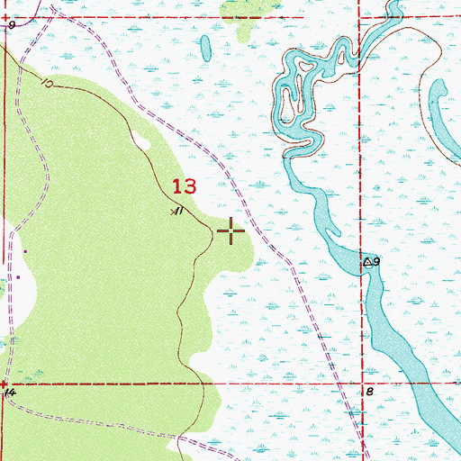 Topographic Map of Bear Island, FL