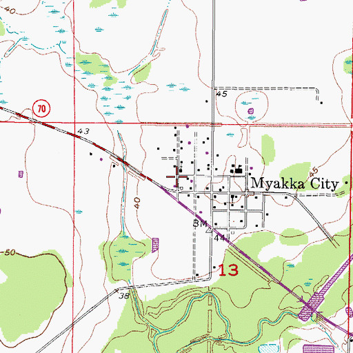 Topographic Map of Myakka City Post Office, FL