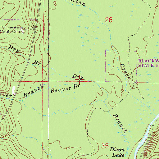 Topographic Map of Beaver Branch, FL