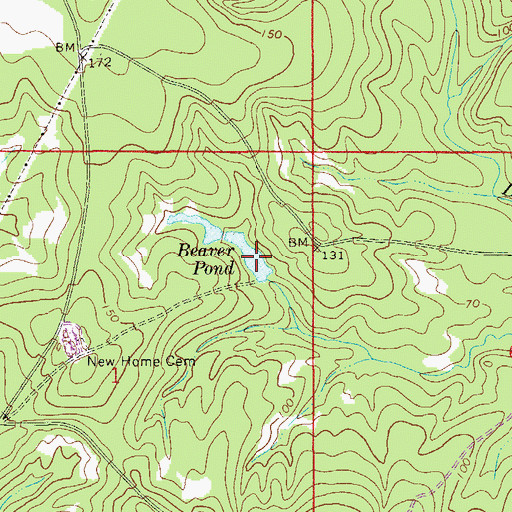 Topographic Map of Beaver Pond, FL
