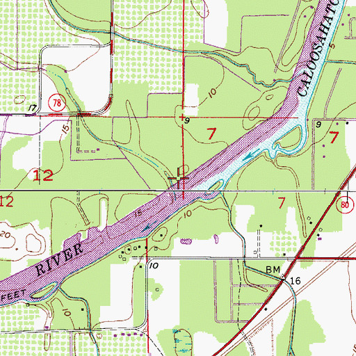 Topographic Map of Bee Branch, FL