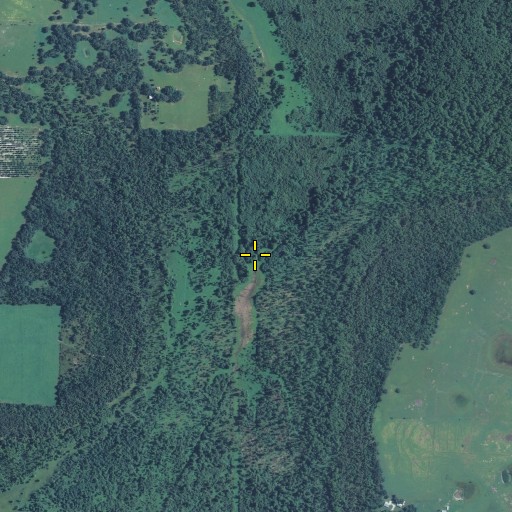 Aerial/Satellite Image of Bee Branch, FL