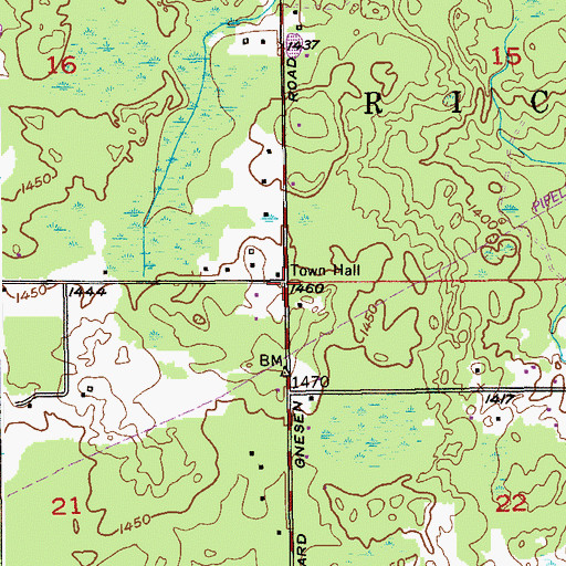 Topographic Map of Rice Lake, MN