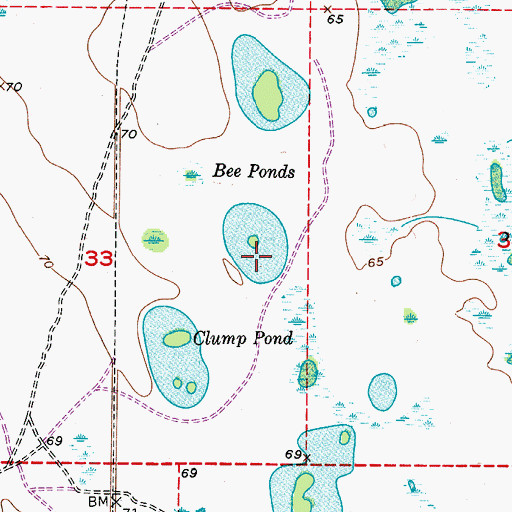 Topographic Map of Bee Ponds, FL