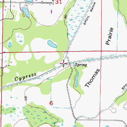 Topographic Map of Bee Tree Branch, FL