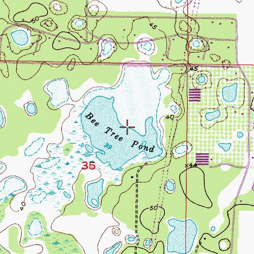 Topographic Map of Bee Tree Pond, FL