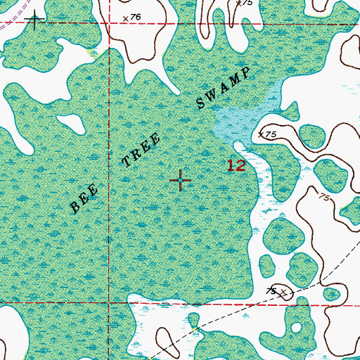 Topographic Map of Bee Tree Swamp, FL